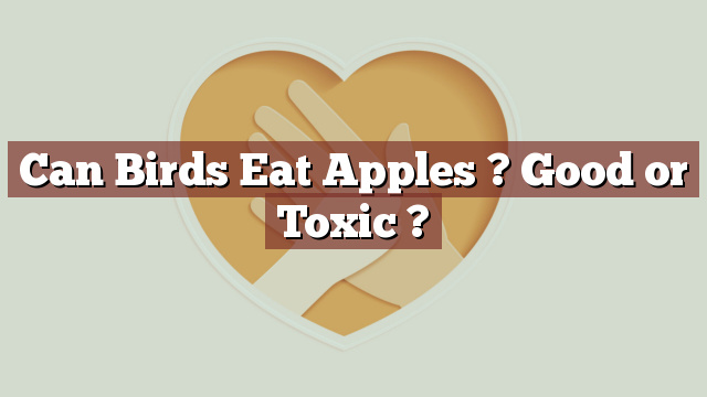 Can Birds Eat Apples ? Good or Toxic ?