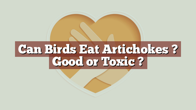 Can Birds Eat Artichokes ? Good or Toxic ?