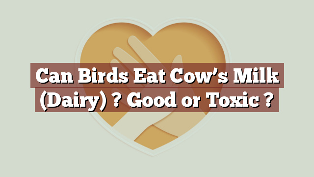 Can Birds Eat Cow’s Milk (Dairy) ? Good or Toxic ?
