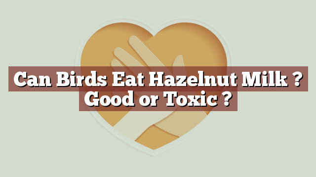 Can Birds Eat Hazelnut Milk ? Good or Toxic ?