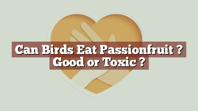 Can Birds Eat Passionfruit ? Good or Toxic ?