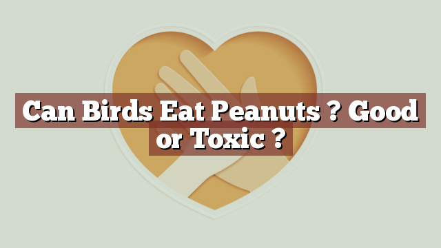 Can Birds Eat Peanuts ? Good or Toxic ?