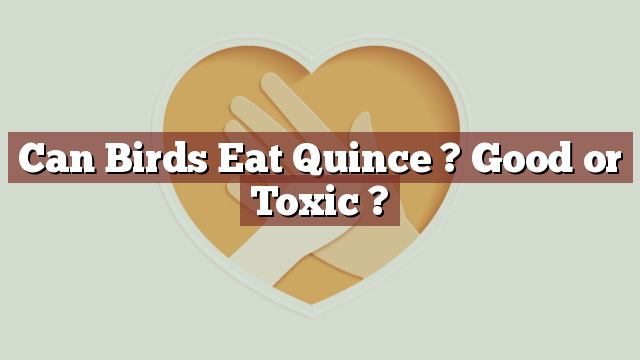 Can Birds Eat Quince ? Good or Toxic ?