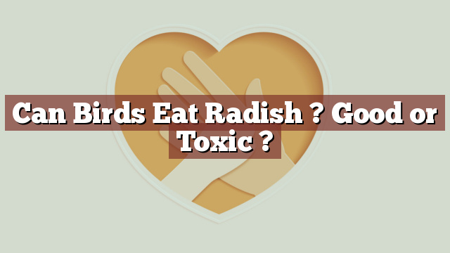 Can Birds Eat Radish ? Good or Toxic ?