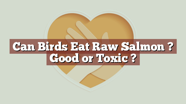 Can Birds Eat Raw Salmon ? Good or Toxic ?