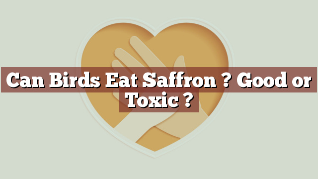 Can Birds Eat Saffron ? Good or Toxic ?