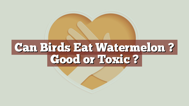 Can Birds Eat Watermelon ? Good or Toxic ?