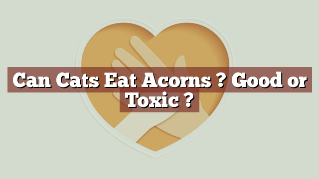 Can Cats Eat Acorns ? Good or Toxic ?