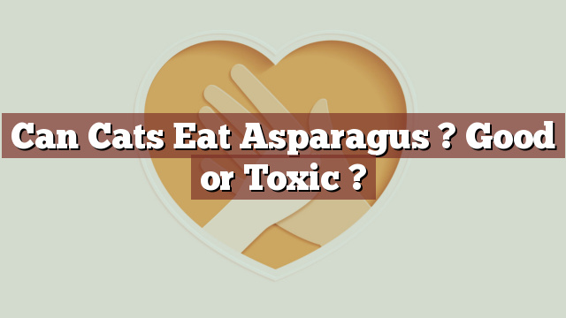 Can Cats Eat Asparagus ? Good or Toxic ?