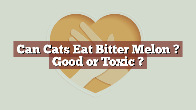 Can Cats Eat Bitter Melon ? Good or Toxic ?