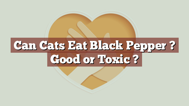 Can Cats Eat Black Pepper ? Good or Toxic ?