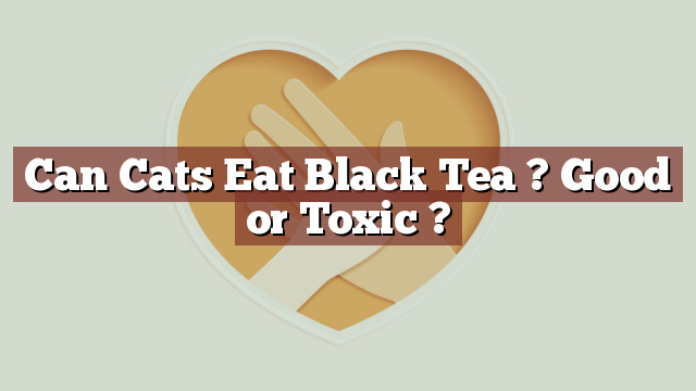 Can Cats Eat Black Tea ? Good or Toxic ?