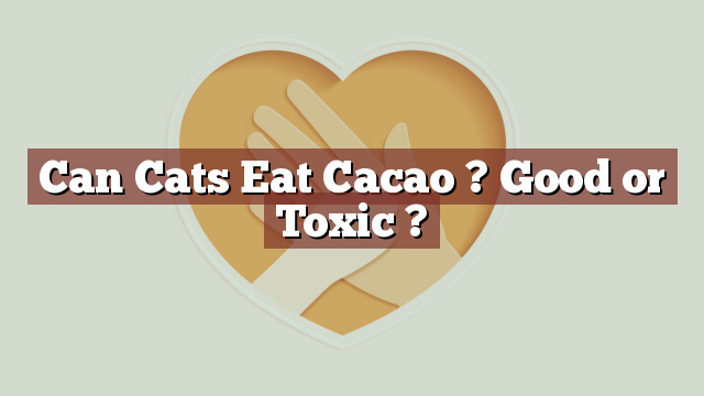 Can Cats Eat Cacao ? Good or Toxic ?