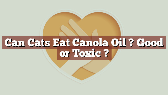 Can Cats Eat Canola Oil ? Good or Toxic ?