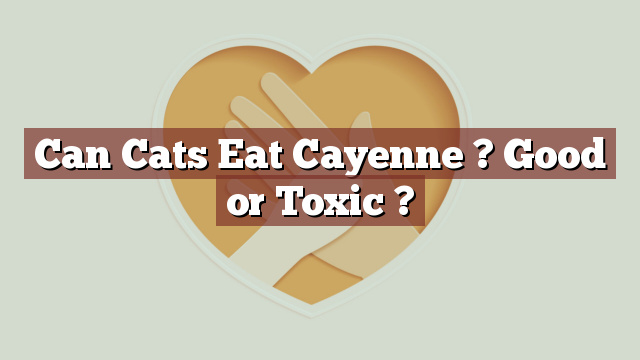 Can Cats Eat Cayenne ? Good or Toxic ?