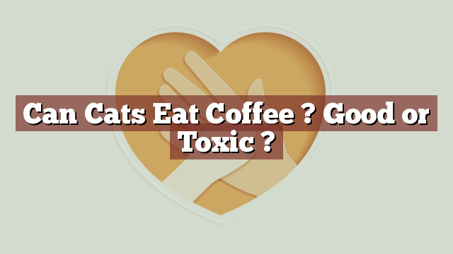 Can Cats Eat Coffee ? Good or Toxic ?