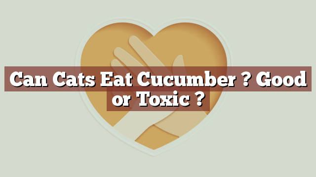 Can Cats Eat Cucumber ? Good or Toxic ?