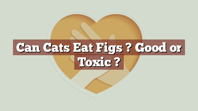 Can Cats Eat Figs ? Good or Toxic ?