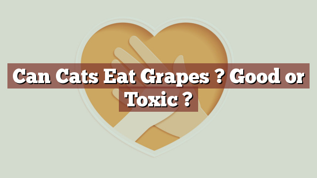 Can Cats Eat Grapes ? Good or Toxic ?
