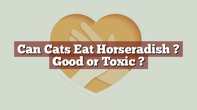 Can Cats Eat Horseradish ? Good or Toxic ?