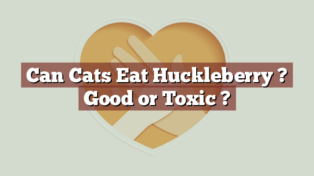 Can Cats Eat Huckleberry ? Good or Toxic ?