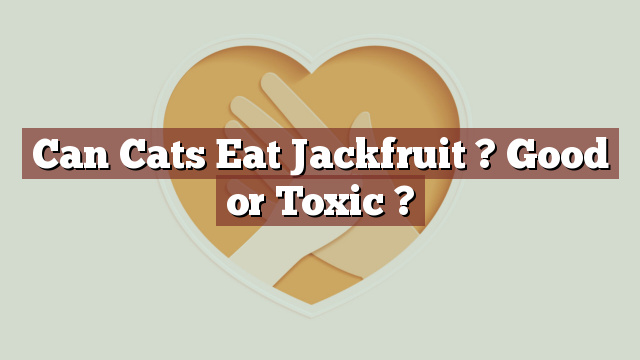 Can Cats Eat Jackfruit ? Good or Toxic ?