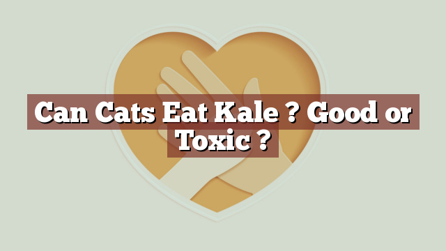 Can Cats Eat Kale ? Good or Toxic ?