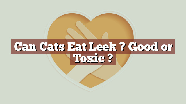 Can Cats Eat Leek ? Good or Toxic ?