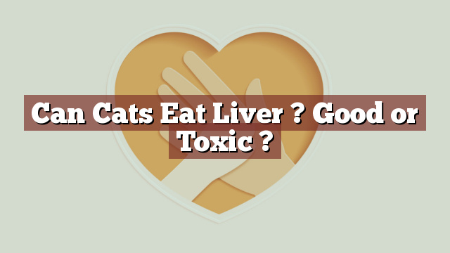 Can Cats Eat Liver ? Good or Toxic ?