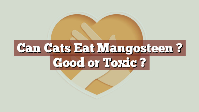 Can Cats Eat Mangosteen ? Good or Toxic ?