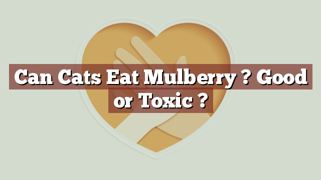 Can Cats Eat Mulberry ? Good or Toxic ?