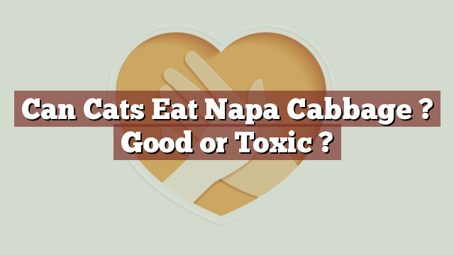 Can Cats Eat Napa Cabbage ? Good or Toxic ?