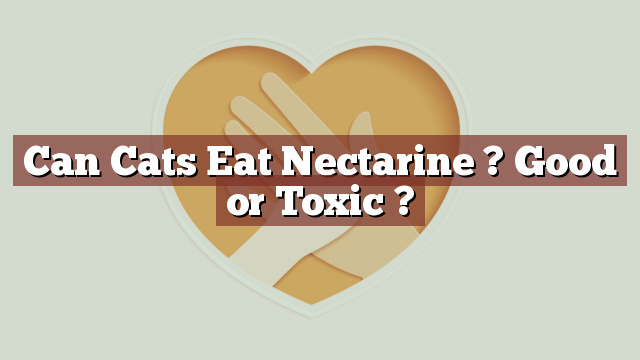 Can Cats Eat Nectarine ? Good or Toxic ?