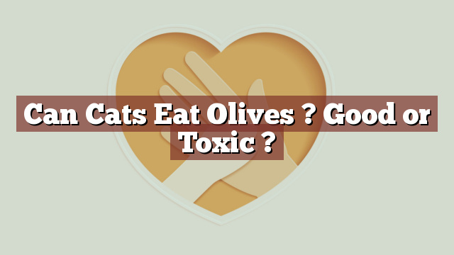Can Cats Eat Olives ? Good or Toxic ?