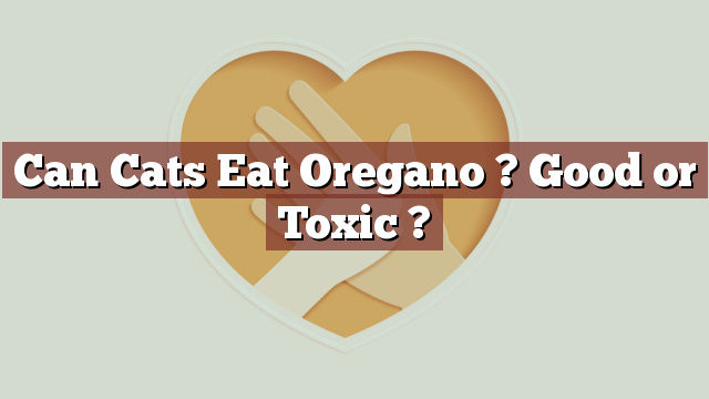 Can Cats Eat Oregano ? Good or Toxic ?