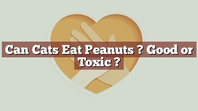 Can Cats Eat Peanuts ? Good or Toxic ?
