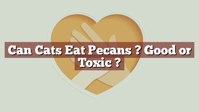 Can Cats Eat Pecans ? Good or Toxic ?