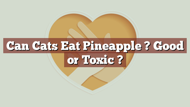 Can Cats Eat Pineapple ? Good or Toxic ?