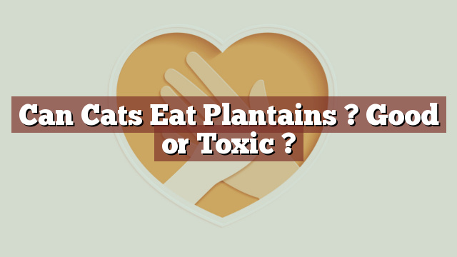 Can Cats Eat Plantains ? Good or Toxic ?