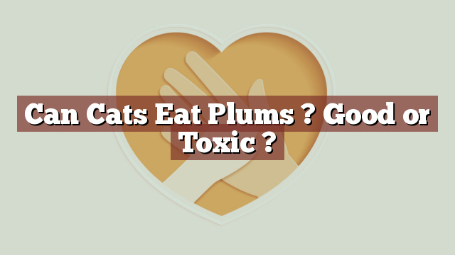 Can Cats Eat Plums ? Good or Toxic ?