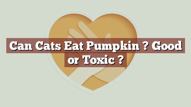 Can Cats Eat Pumpkin ? Good or Toxic ?