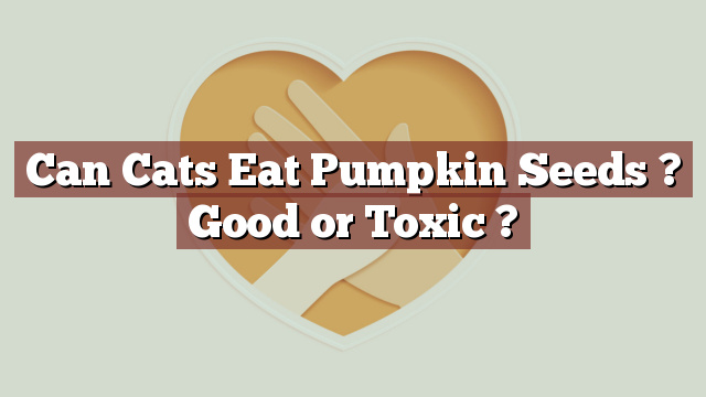 Can Cats Eat Pumpkin Seeds ? Good or Toxic ?