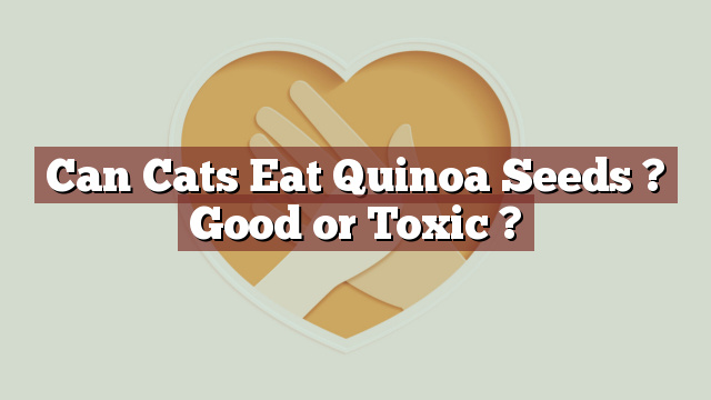 Can Cats Eat Quinoa Seeds ? Good or Toxic ?