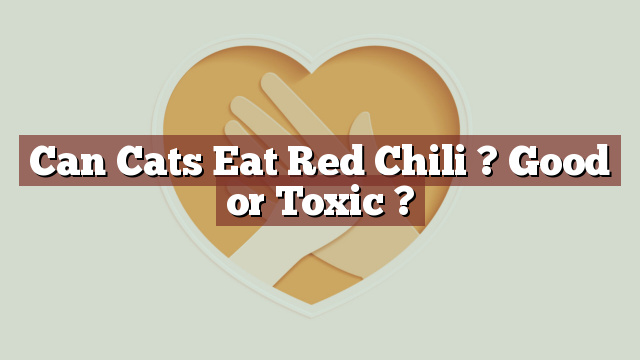 Can Cats Eat Red Chili ? Good or Toxic ?