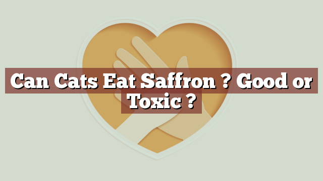 Can Cats Eat Saffron ? Good or Toxic ?