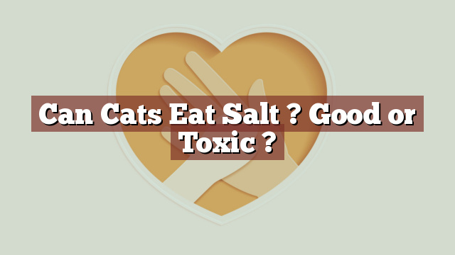 Can Cats Eat Salt ? Good or Toxic ?