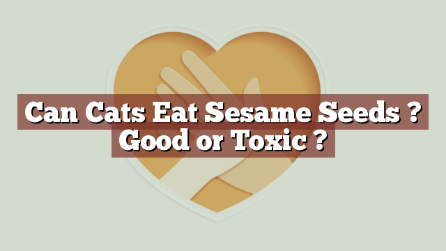 Can Cats Eat Sesame Seeds ? Good or Toxic ?