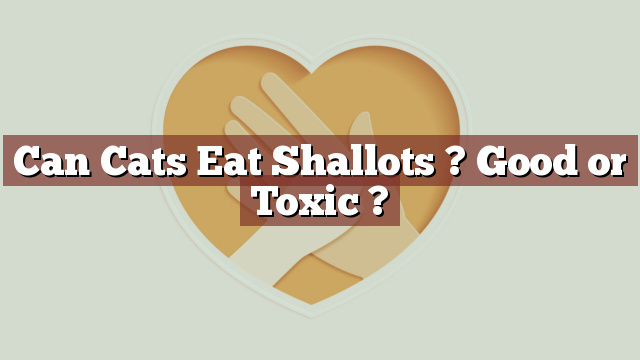 Can Cats Eat Shallots ? Good or Toxic ?