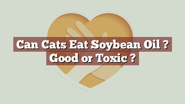 Can Cats Eat Soybean Oil ? Good or Toxic ?