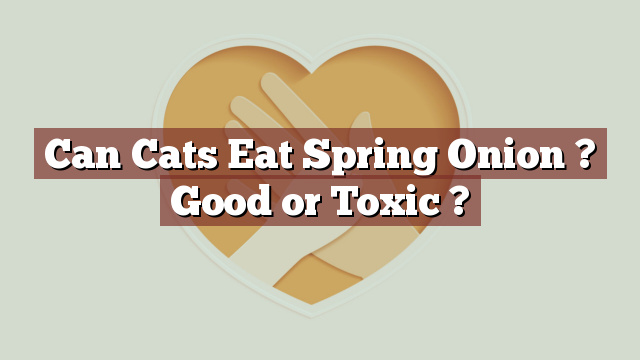 Can Cats Eat Spring Onion ? Good or Toxic ?